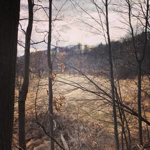 Meet your Posher, Marcus